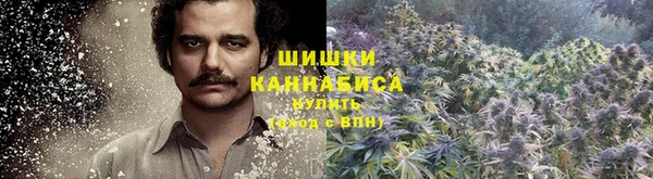 каннабис Аркадак